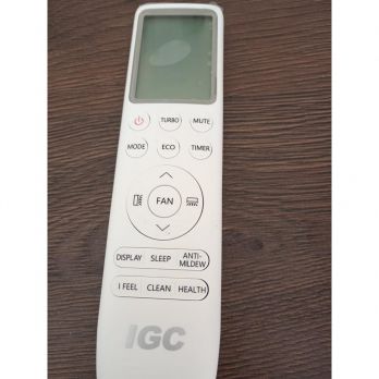 IGC RAS/RAC-24АТ